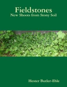 fieldstones